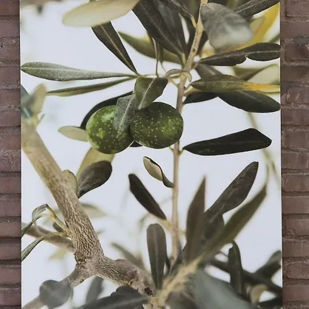 Baart's Bed & Breakfast 3*