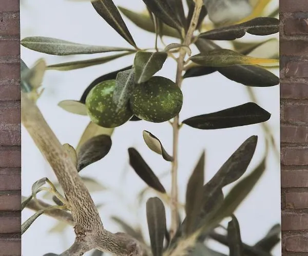 Baart's Отель типа 