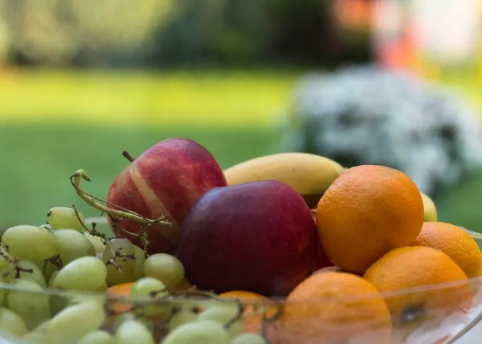 Baart's فندق مبيت وإفطار Wijnandsrade